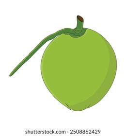 Green coconut vector graphics, Young coconut water icon. Summer coconut cocktail. Vector illustration of tropical exotic fruits in flat style.