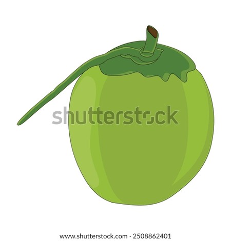 Green coconut vector graphics, Young coconut water icon. Summer coconut cocktail. Vector illustration of tropical exotic fruits in flat style.