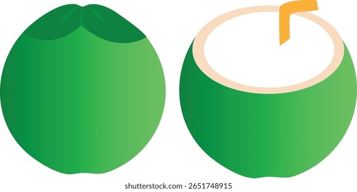Green Coconut Vector Icon  Fresh Tropical Fruit Drink Illustration