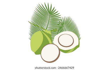 Green Coconut Vector And Illustration Design. 
