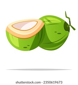 Grüne Kokosnuss, Vektorgrafik einzeln
