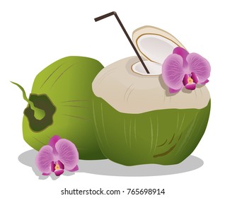 green coconut water drink isolated on white background