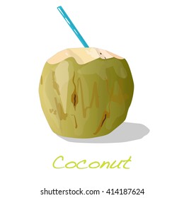 Green coconuts with drinking straw vector isolated