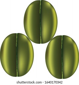 green coffee beans logo. Isolated coffee beans icon.