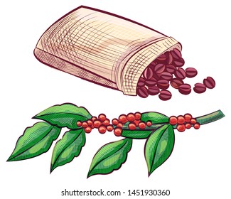 Green coffee branch with beans and foliage vector, isolated icons. Aromatic plant with leaves, bag sack with ready production flat style color sketch