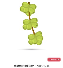 Green coffee branch color flat icon for web adn mobile design