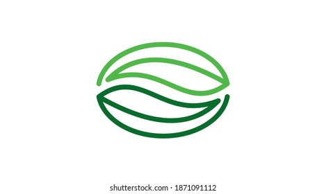 Icono de café verde. Icono de vector de hoja verde