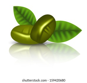Hojas verdes de café y grano. Ilustración del vector