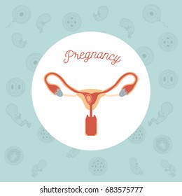 green color background pattern pregnancy icons with fetus human embryo growth in placenta in female reproductive organ vector illustration