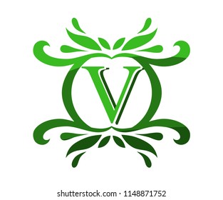 green color beautiful luxury classic vintage swirl or floral border logo design template with initial name of business company on it type letter v