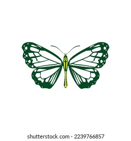 Green color cute butterfly vector design with white background