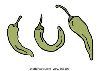 green jalapeños, color doodle style for culinary blogs, recipe cards, kitchen decor, educational material on spicy foods. Mexican food ingredient, Chili pepper, Vegetables. doodle illustration