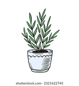 Green color houseplant in a pot. Hand drawn sketch art vector illustration. Isolated on white background.