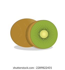 green color kiwi fruit vector illustration