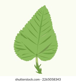 Green Color Leaf for different uses
