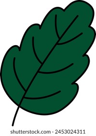 Green color leaf vector illustration: fresh and crisp design element