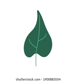 green color leave nature icon vector illustration design