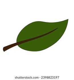 Green color leaves isolated on white background. Vector illustration, suitable for children's books