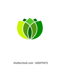 Green color leaves logo, vector