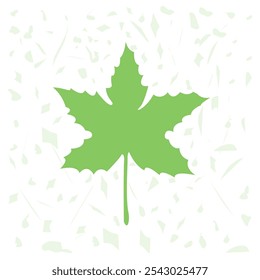 Green color maple leaf ornament design,autumn sign design element,maple leaf isolated on white background