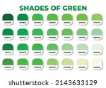 Green color palette with RGB HEX color codes, Hex color codes, Fashion trend green color palette, Shades of green, Swatches set, Green swatches set