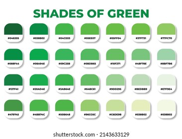 Green color palette with RGB HEX color codes, Hex color codes, Fashion trend green color palette, Shades of green, Swatches set, Green swatches set