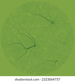 Green color tree branch pattern background