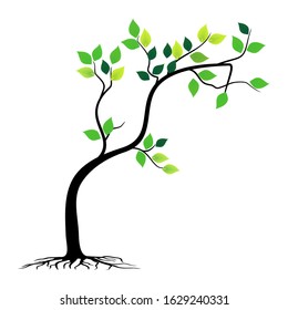 Green color tree leaves and roots with white background, vector