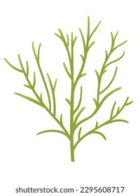 Green color underwater seaweed vector illustration isolated on white background