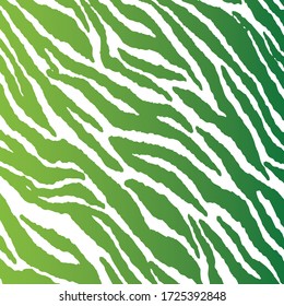green color zebra pattern on a white background vector
