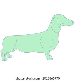 Green colored cute, minimal style vector illustration graphic of a popular dog breed, namely, miniature dachshund.