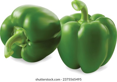 Colores verdes y diferentes tipos de pimientos dulces (capsicum) y chile fresco vectorial sobre fondo blanco.