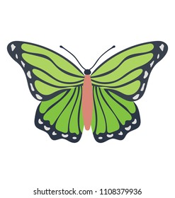 
A green colored isabella butterfly vector icon design

