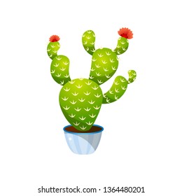 Green colorful bunny ears cactus in blue pot