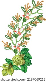 Green colorful succulent bouquet ikebana tattoo concept. Selection of exotic echeveria, herbs, various plants and leaves. Natural greenery. Flesh tattoo sketch. Unique real plants reference. Vector.