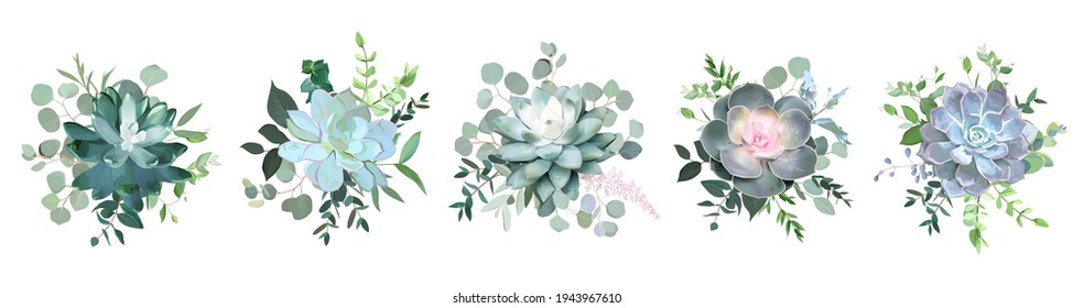 Green colorful succulent bouquets vector design objects. Eucalyptus selection, echeveria, herbs, various plants and leaves. Natural greenery set. Wedding flowers.All elements are isolated and editable