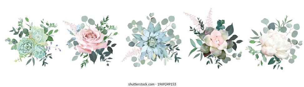 Objetos de diseño vectorial de ramos coloridos y verdes. Selección de eucalipto, equeveria, hierbas, plantas y hojas diversas. El entorno natural. Flores de casamiento.Todos los elementos son aislados y editables