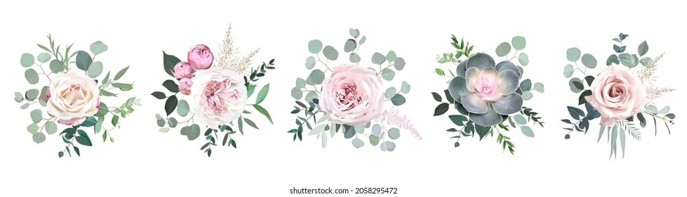 Objetos de diseño vectorial de ramos coloridos y verdes. Selección de eucalipto, equeveria, hierbas, plantas y hojas diversas. El entorno natural. Flores de casamiento.Todos los elementos son aislados y editables