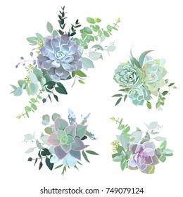 Green colorful succulent bouquets vector design objects. Eucalyptus selection, echeveria, herbs, various plants and leaves. Natural greenery set. All elements are isolated and editable