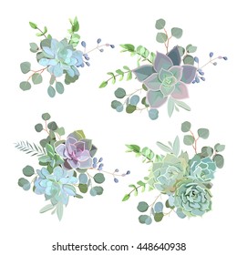 Green colorful succulent Echeveria vector design objects. Natural cactus bouquets in modern funky style. All elements are isolated and editable.