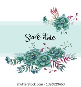 Green colorful succulents vector design. Vector