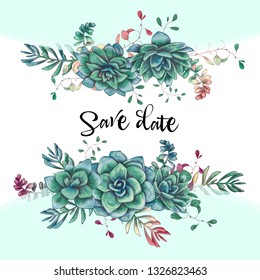 Green colorful succulents vector design. Vector