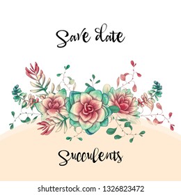 Green colorful succulents vector design. Vector