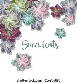 Green colorful succulents vector design background.