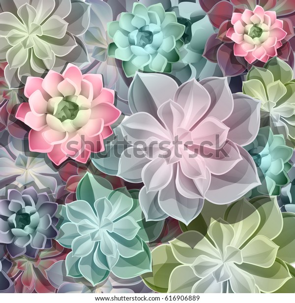 Green Colorful Succulents Vector Design Background Stock Vector ...
