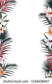 Green colorful tropical vector design square frame. Orchid, protea, palm leaves and ficus. Natural exotic card in modern funky style. All elements are isolated on white background. Card template.