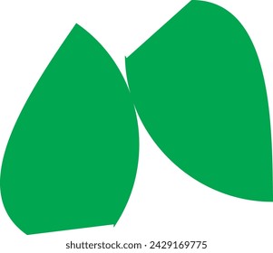 Green colour coconat vetor and illustretor design.