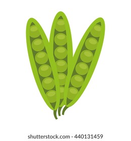 green common beans front view over isolated background,vector illustration
