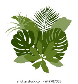 Green composition with plain tropical leaves, hand drawn