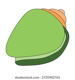 Green conch seashell on a white background